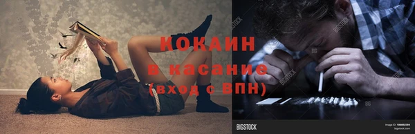 твердый Александровское