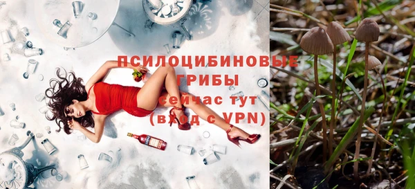 твердый Александровское