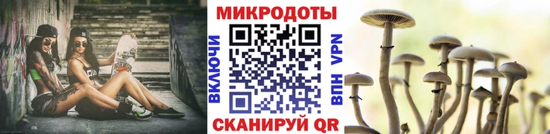 Галлюциногенные грибы Cubensis купить наркотики сайты Северодвинск