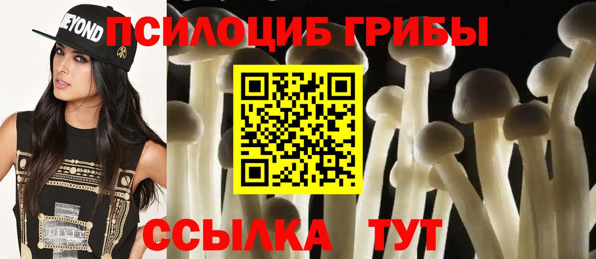Галлюциногенные грибы Psilocybe  Вход с VPN  Северодвинск 